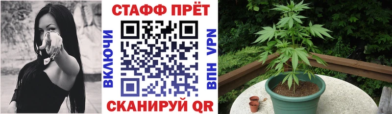 Где можно купить наркотики Шахты Экстази КОКАИН Псилоцибиновые грибы МЕФ Бошки Шишки
