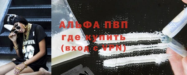 гидра Семилуки