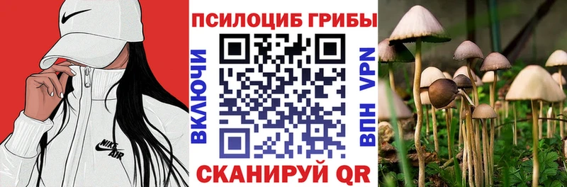 Галлюциногенные грибы Psilocybine cubensis гидра зеркало Шахты цена